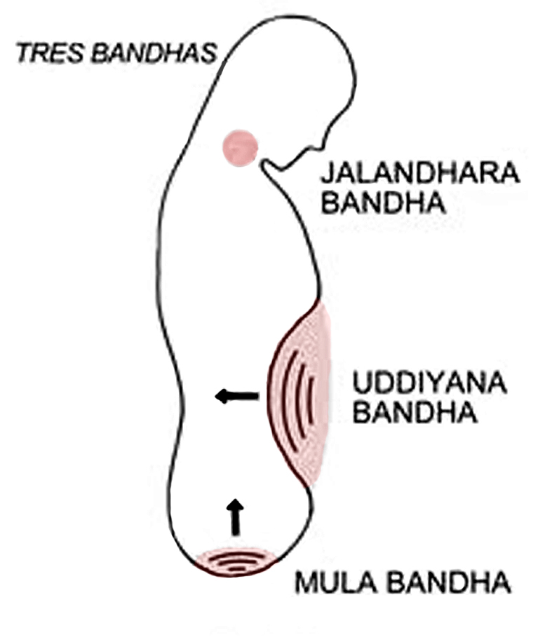 The Bhandas – Working with the Locks of Yoga