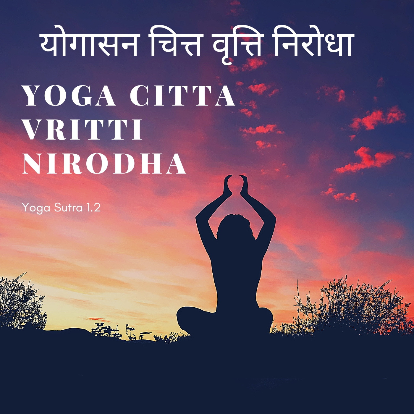 Yoga Citta Vritti Nirodha